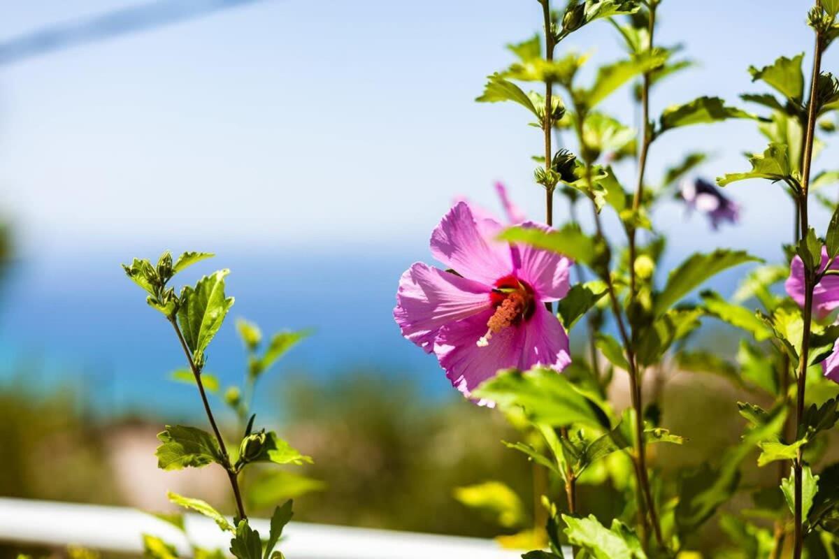 Ferienhaus Aigli Fully Equipped Getaway - Seaview Lux Retreat Kalamata